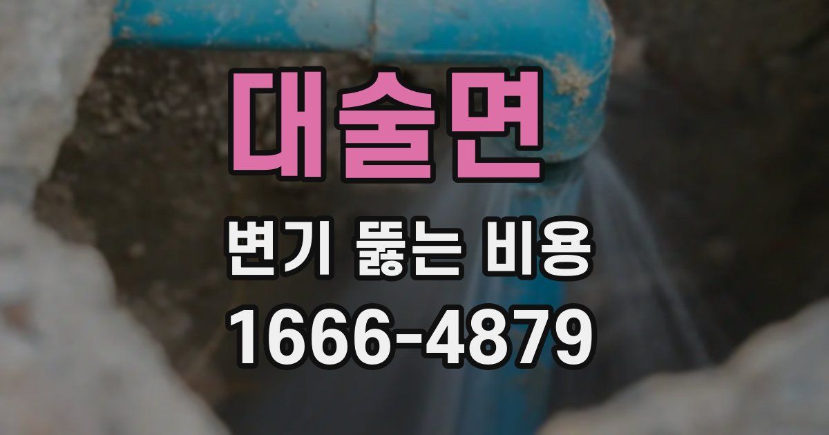 대술면 변기 뚫는 비용