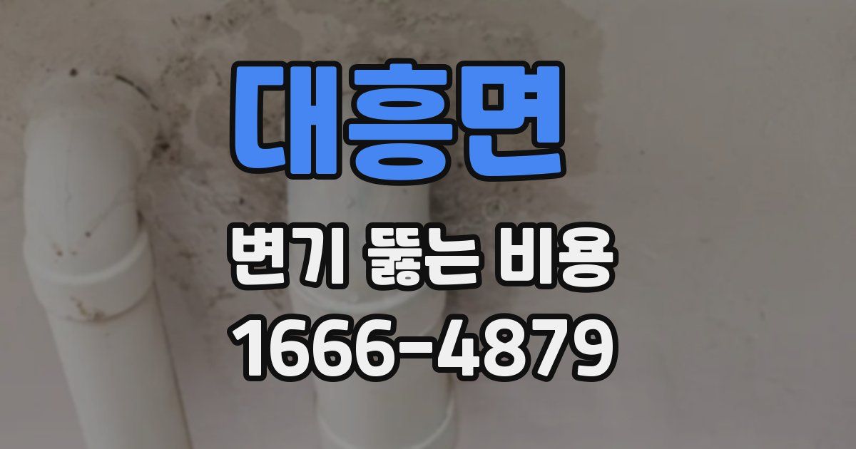대흥면 변기 뚫는 비용