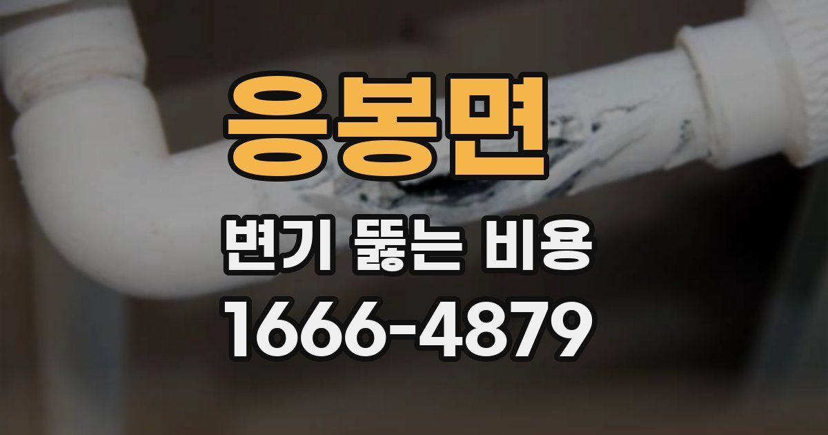 응봉면 변기 뚫는 비용