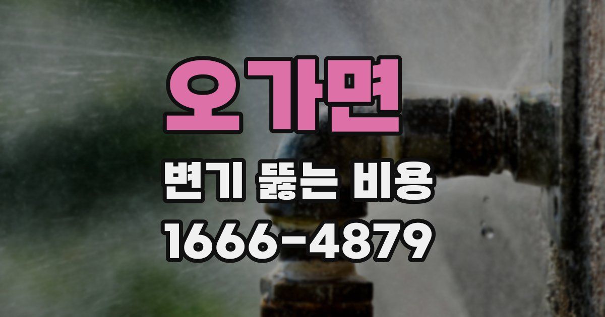 오가면 변기 뚫는 비용