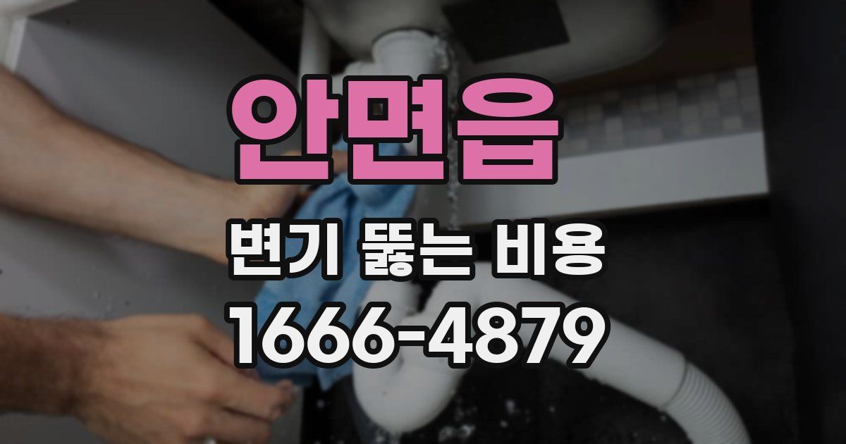 안면읍 변기 뚫는 비용