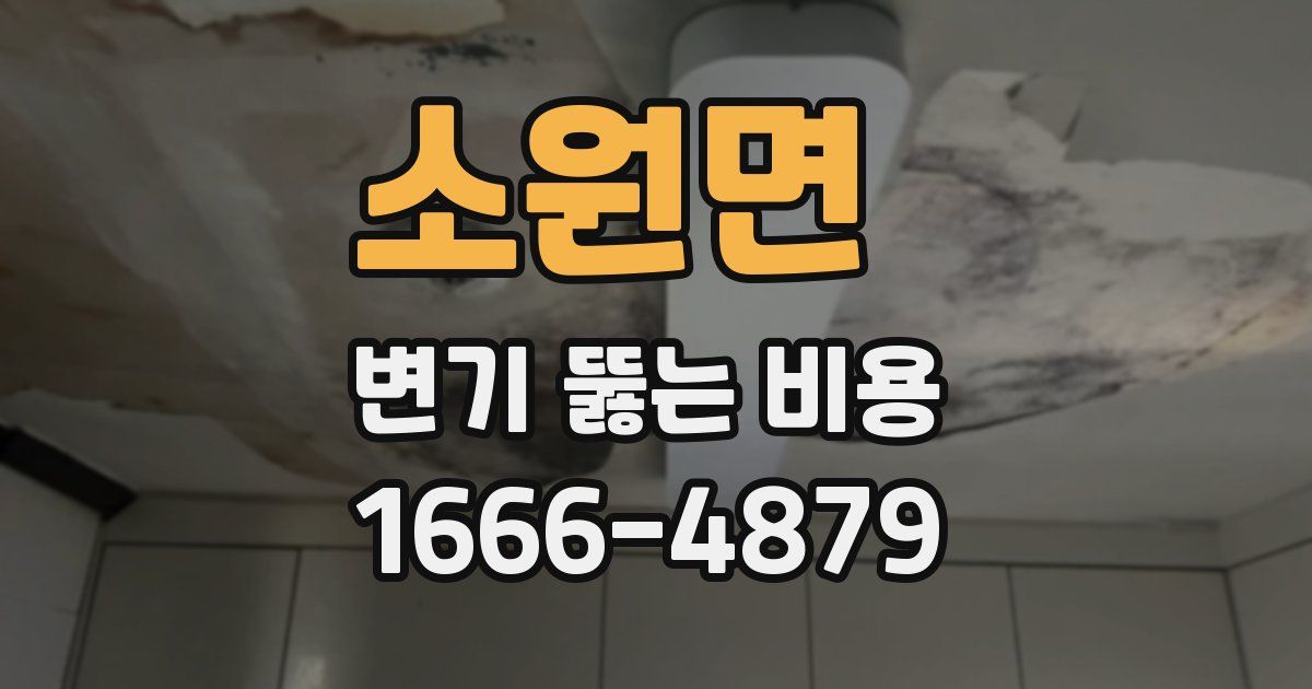 소원면 변기 뚫는 비용