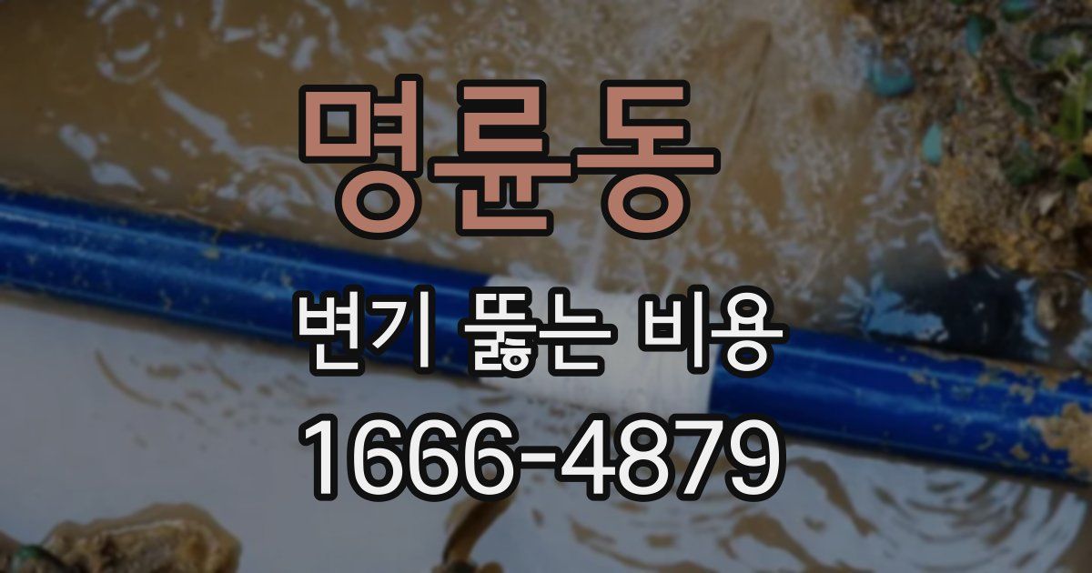 명륜동 변기 뚫는 비용