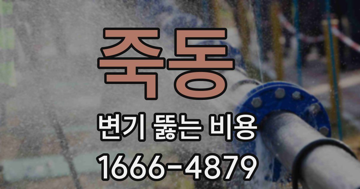 죽동 변기 뚫는 비용