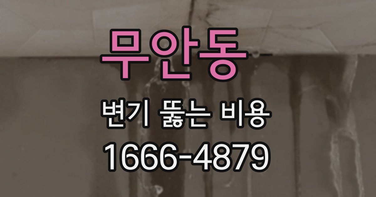 무안동 변기 뚫는 비용