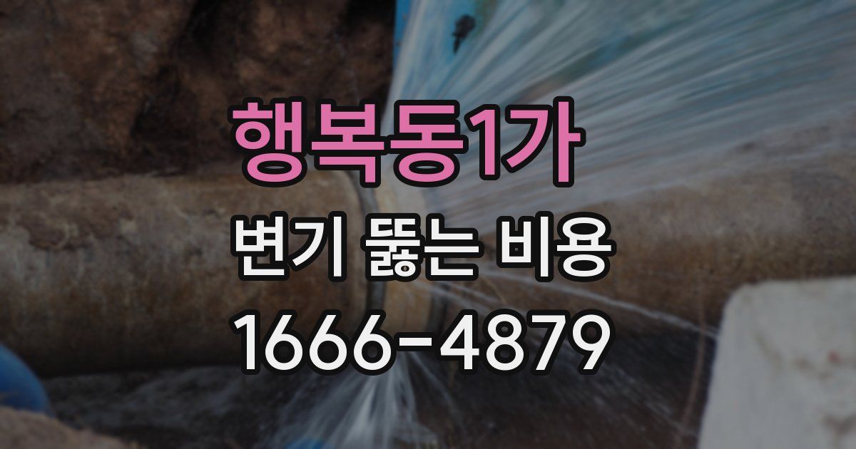 행복동1가 변기 뚫는 비용