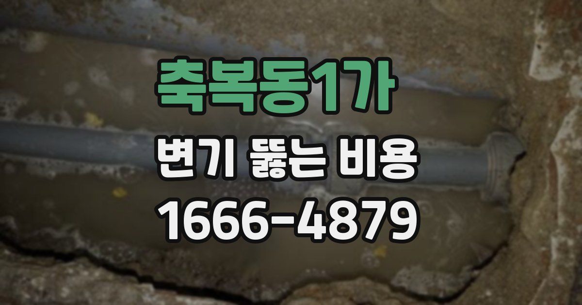 축복동1가 변기 뚫는 비용