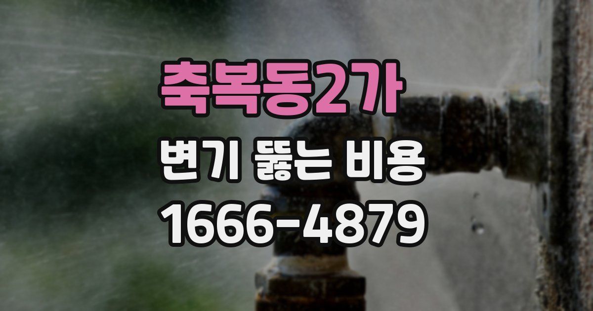 축복동2가 변기 뚫는 비용