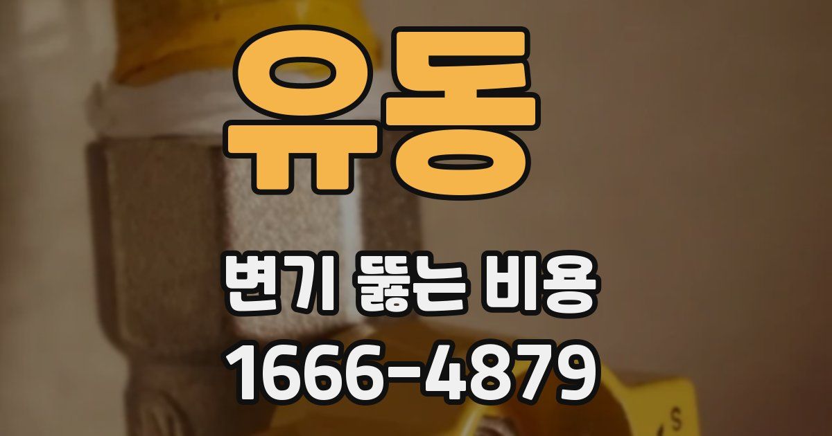 유동 변기 뚫는 비용