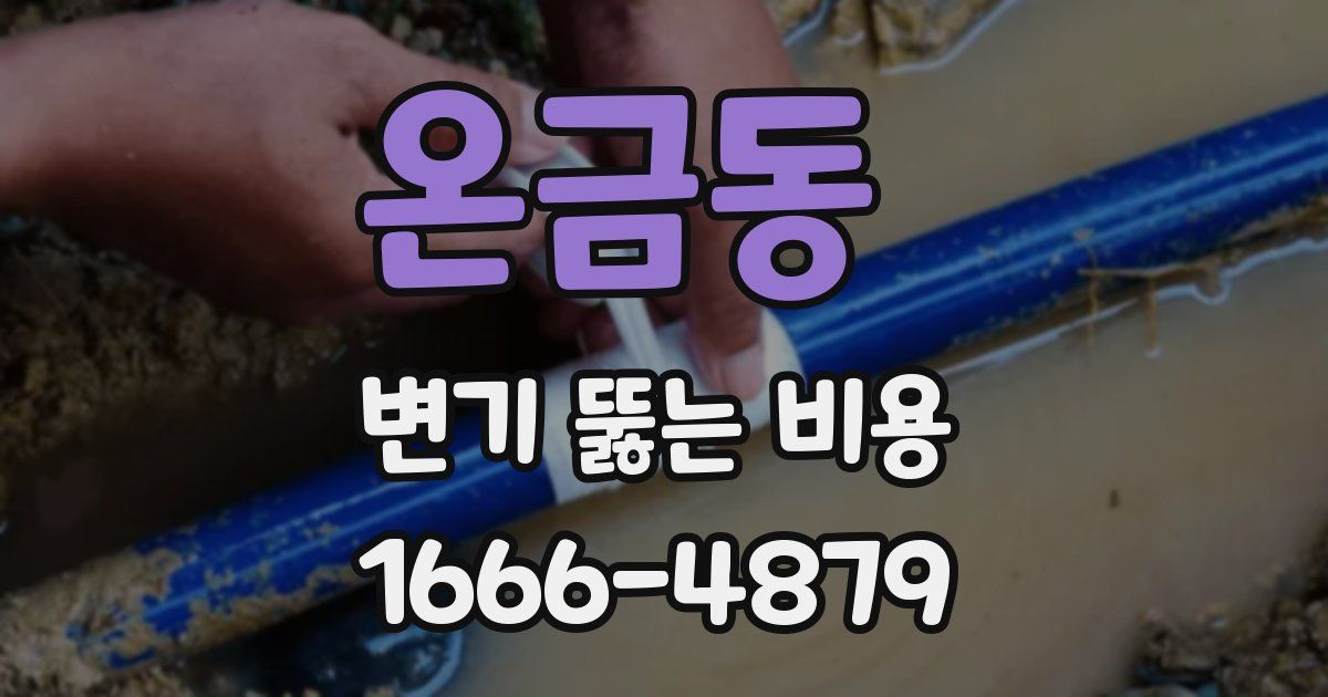 온금동 변기 뚫는 비용