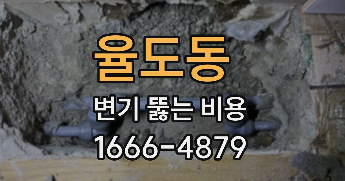 율도동 변기 뚫는 비용