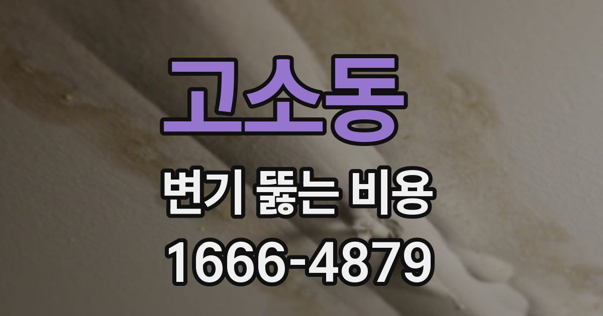 고소동 변기 뚫는 비용