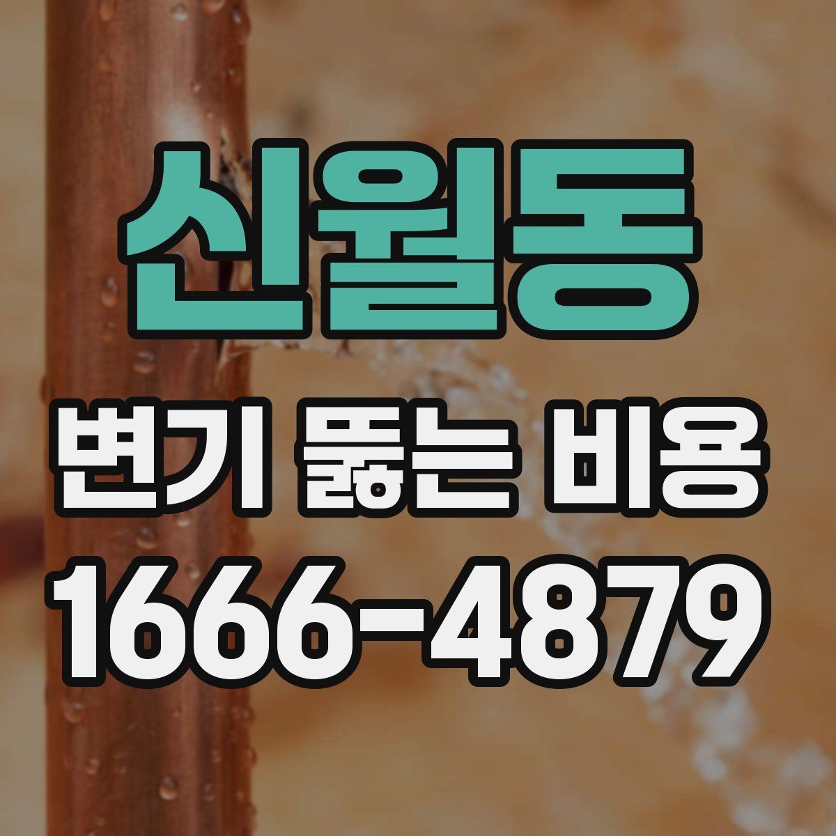신월동 변기 뚫는 비용