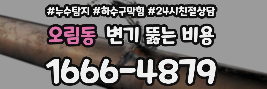 오림동 변기 뚫는 비용