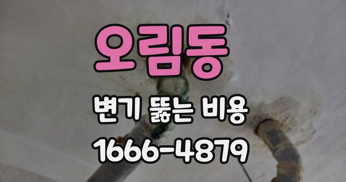 오림동 변기 뚫는 비용