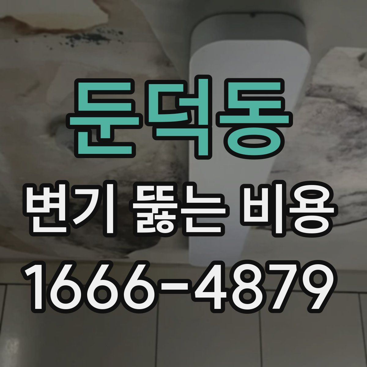 둔덕동 변기 뚫는 비용
