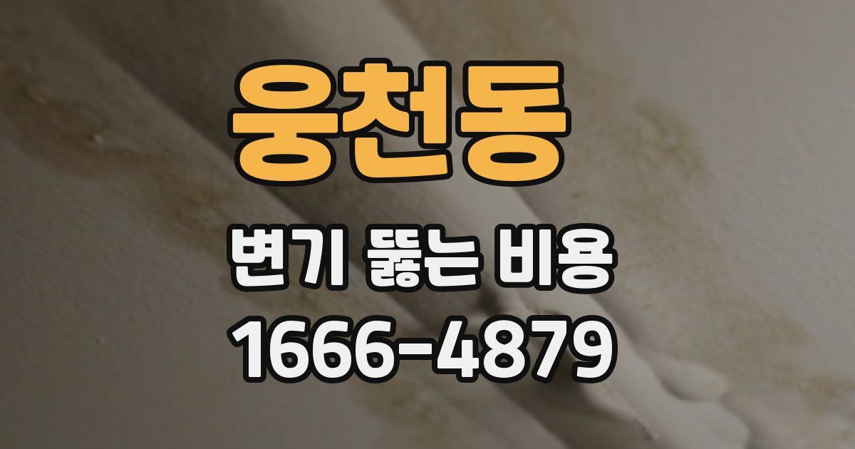 웅천동 변기 뚫는 비용