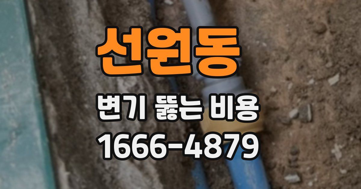 선원동 변기 뚫는 비용