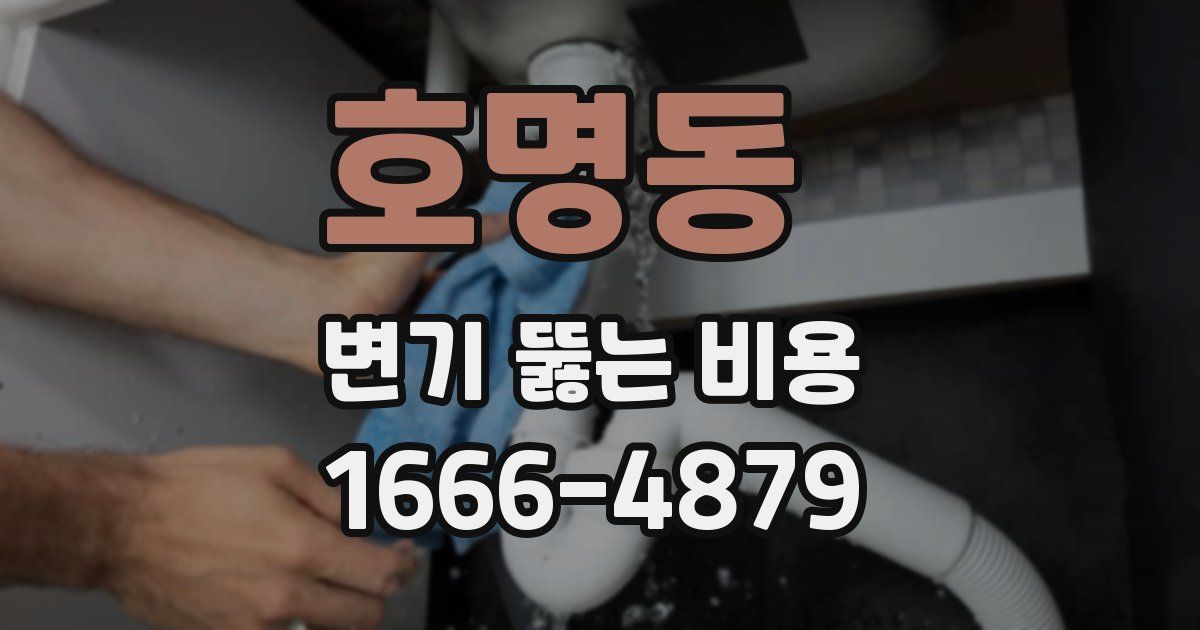 호명동 변기 뚫는 비용