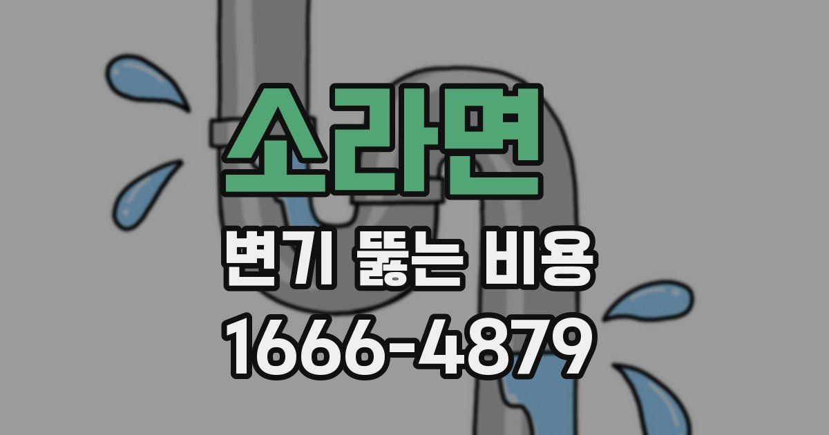 소라면 변기 뚫는 비용