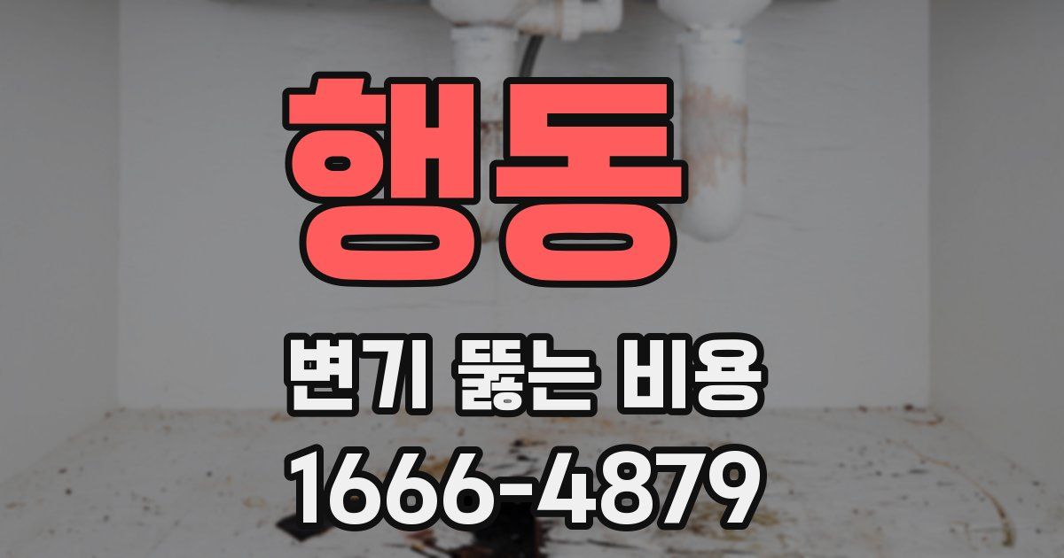 행동 변기 뚫는 비용