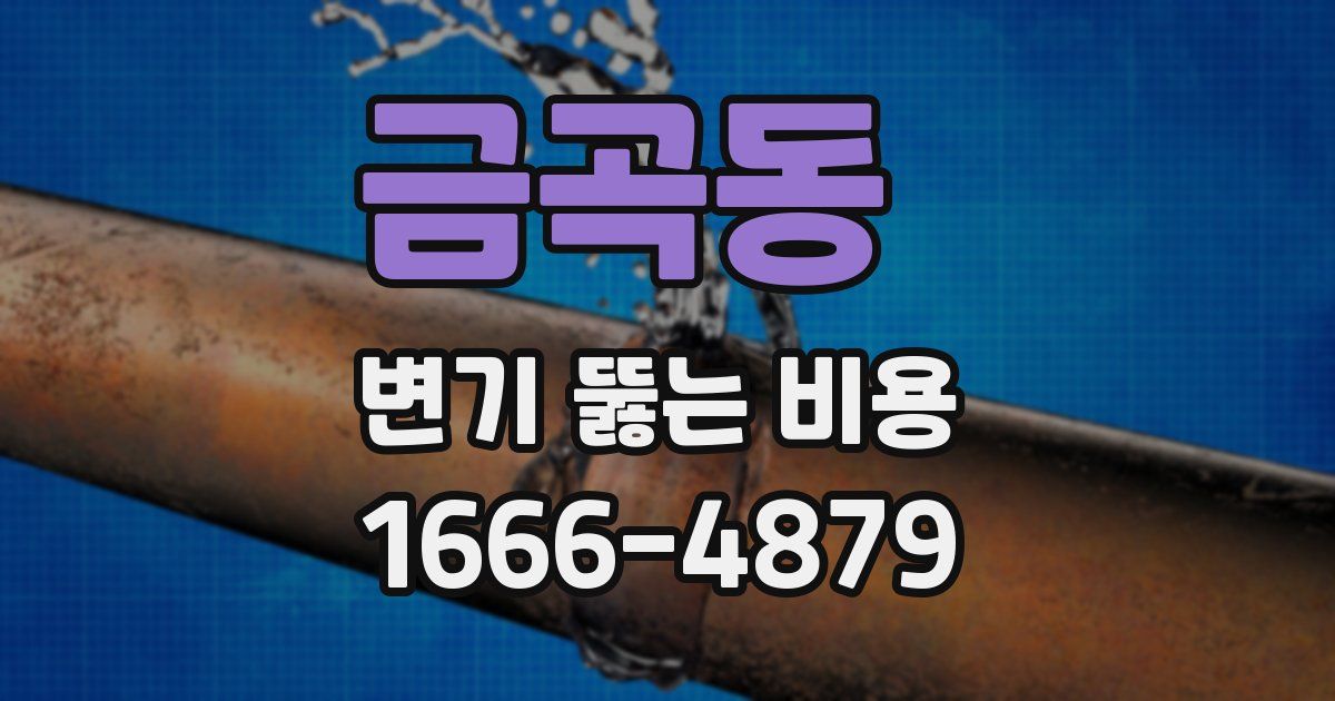 금곡동 변기 뚫는 비용