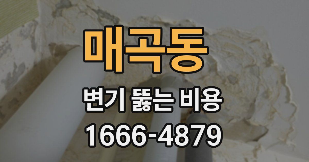 매곡동 변기 뚫는 비용