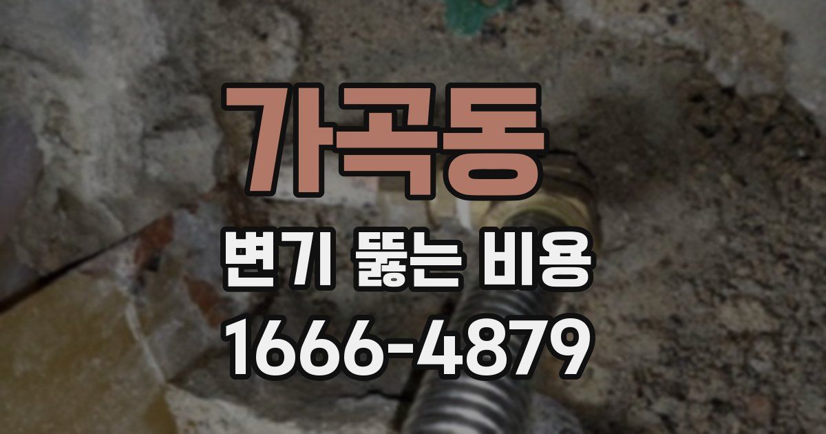 가곡동 변기 뚫는 비용