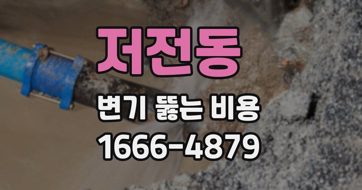 저전동 변기 뚫는 비용