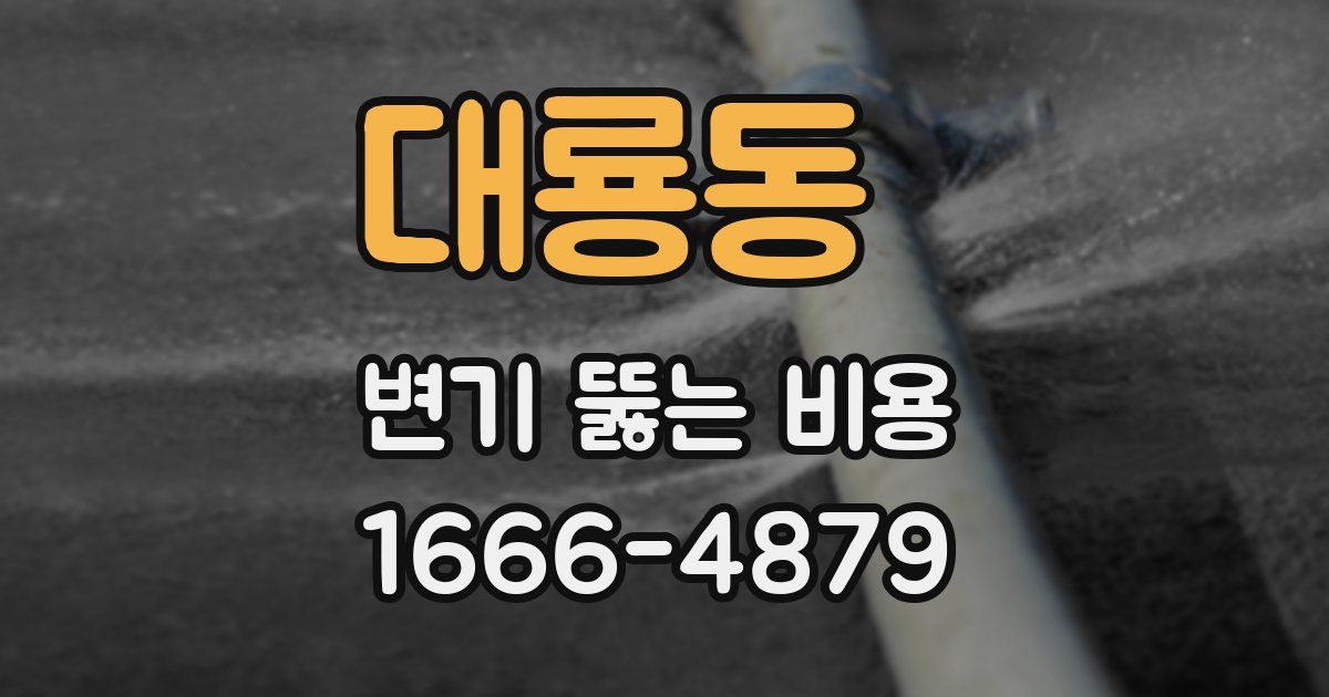 대룡동 변기 뚫는 비용