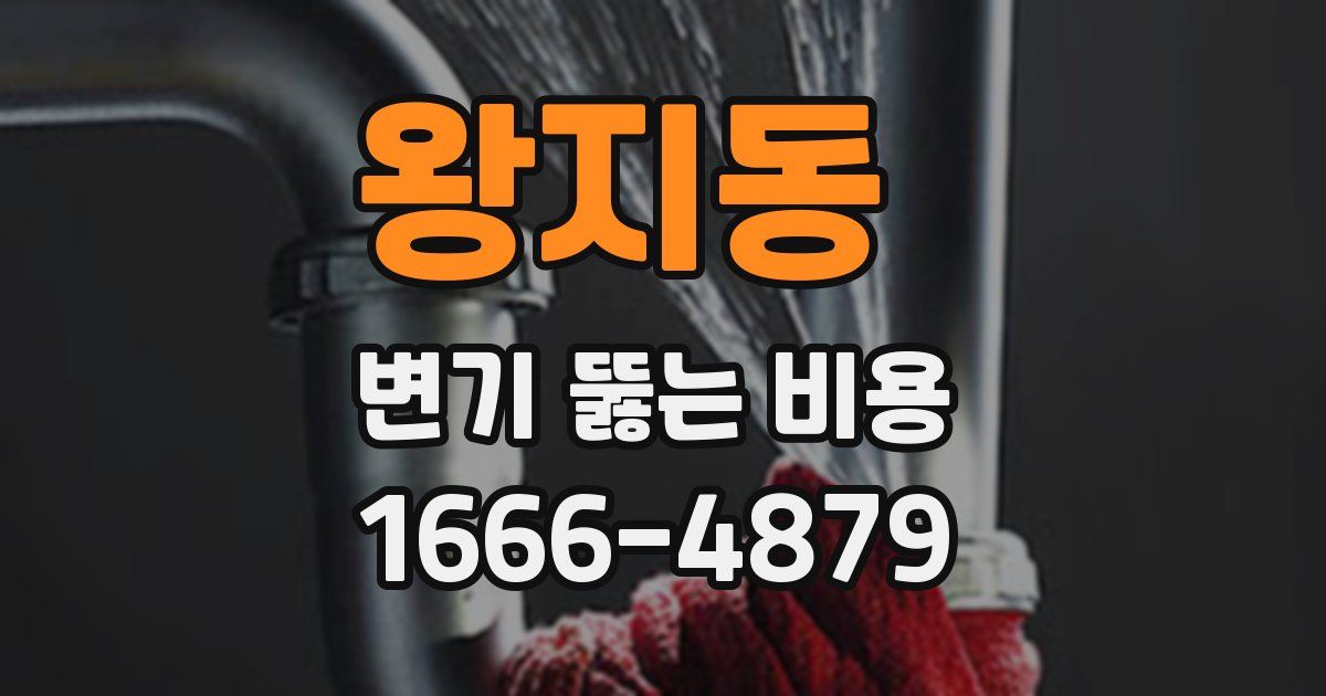 왕지동 변기 뚫는 비용