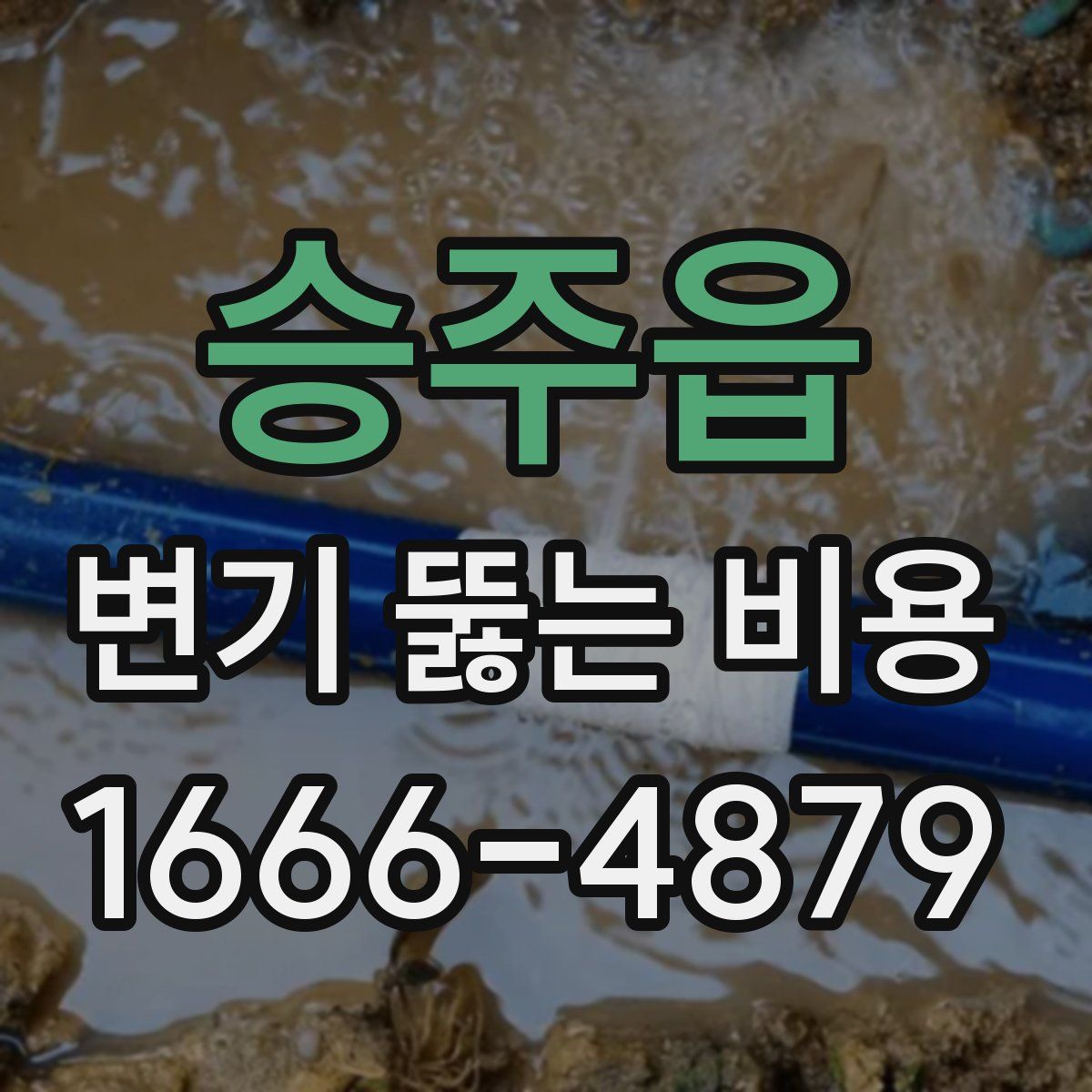 승주읍 변기 뚫는 비용