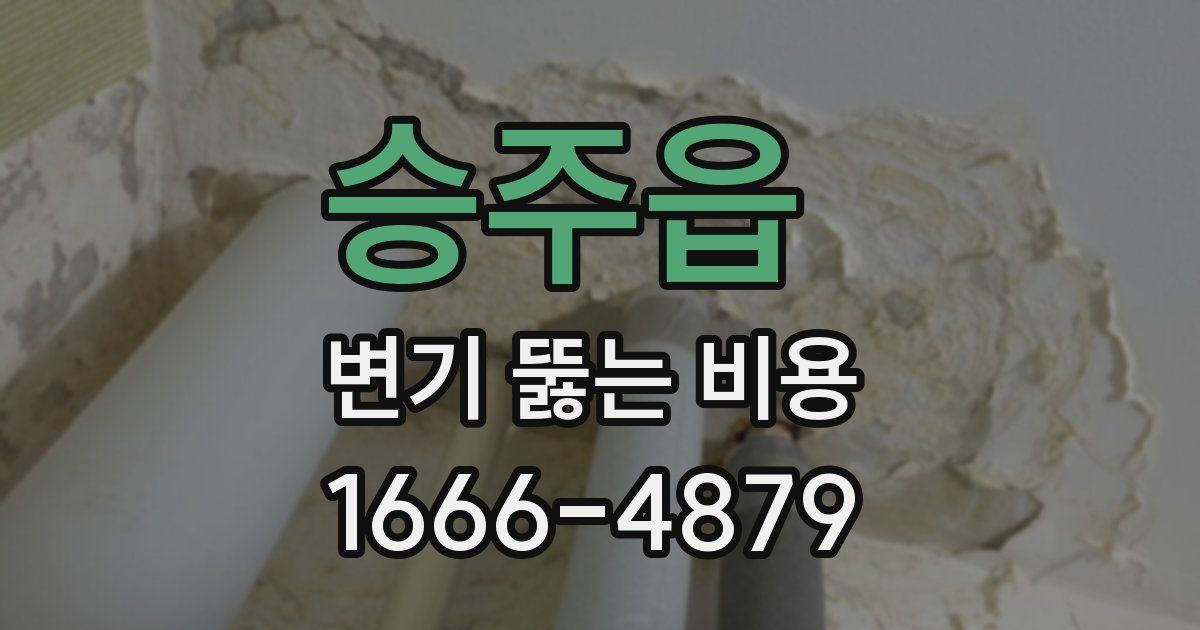 승주읍 변기 뚫는 비용