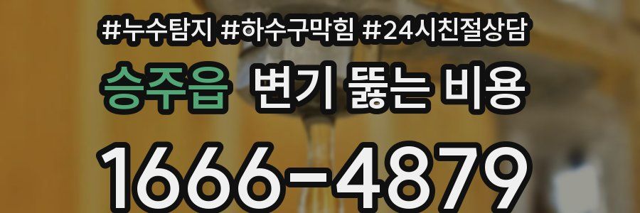 승주읍 변기 뚫는 비용
