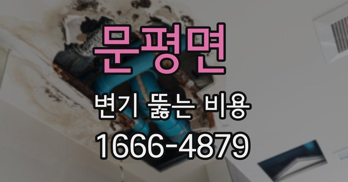 문평면 변기 뚫는 비용