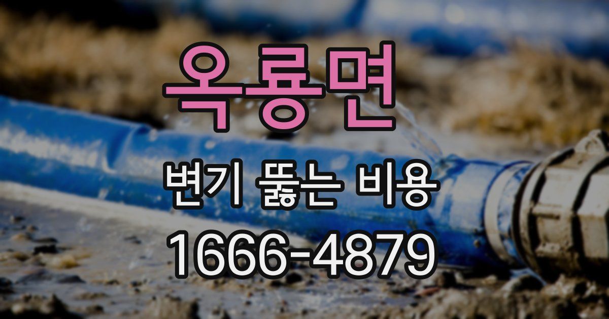 옥룡면 변기 뚫는 비용