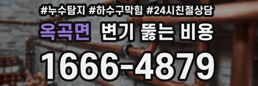 옥곡면 변기 뚫는 비용