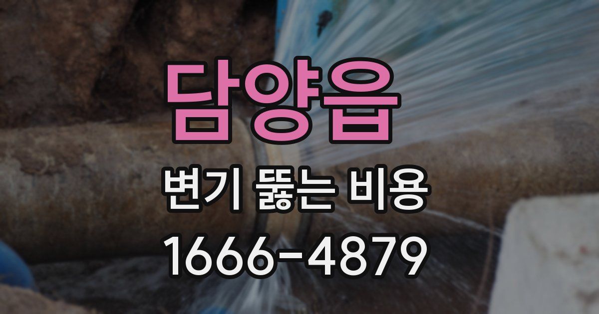 담양읍 변기 뚫는 비용