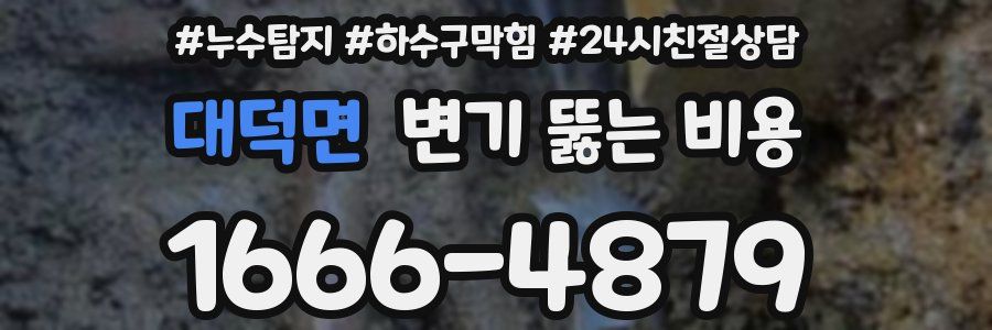 대덕면 변기 뚫는 비용