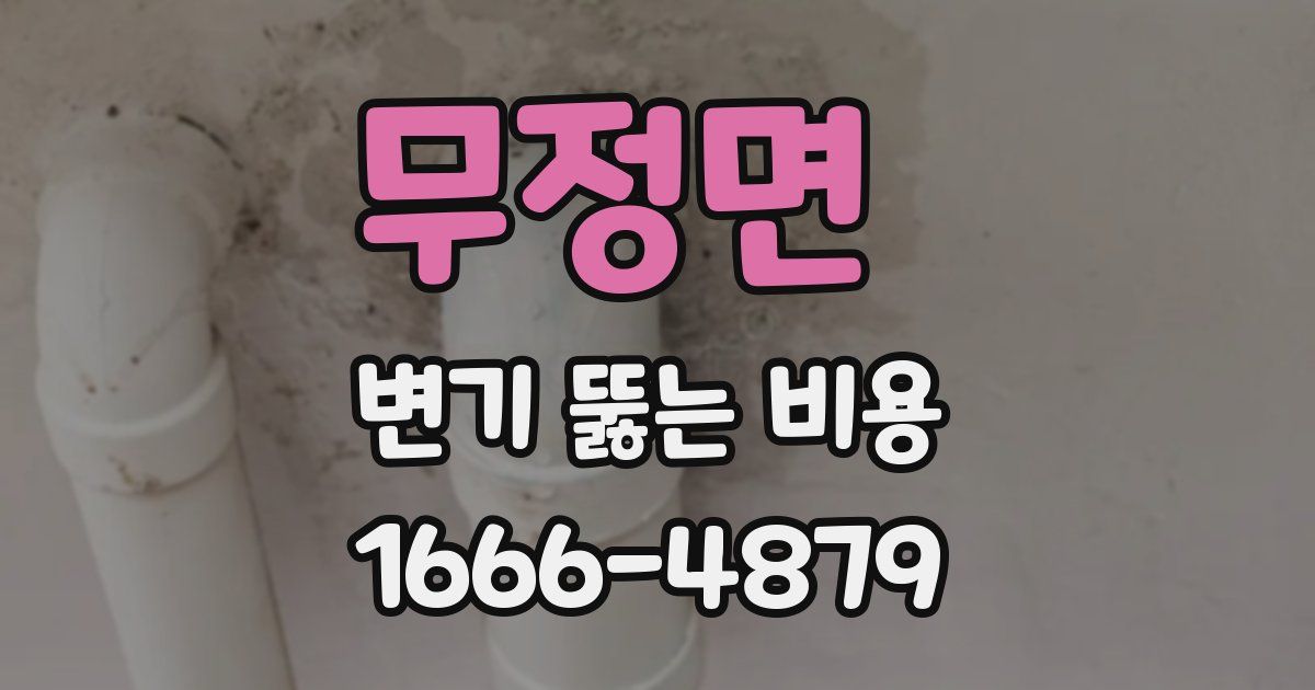 무정면 변기 뚫는 비용