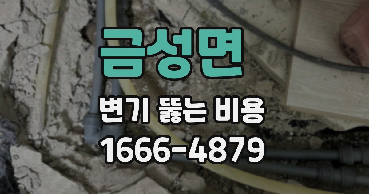 금성면 변기 뚫는 비용