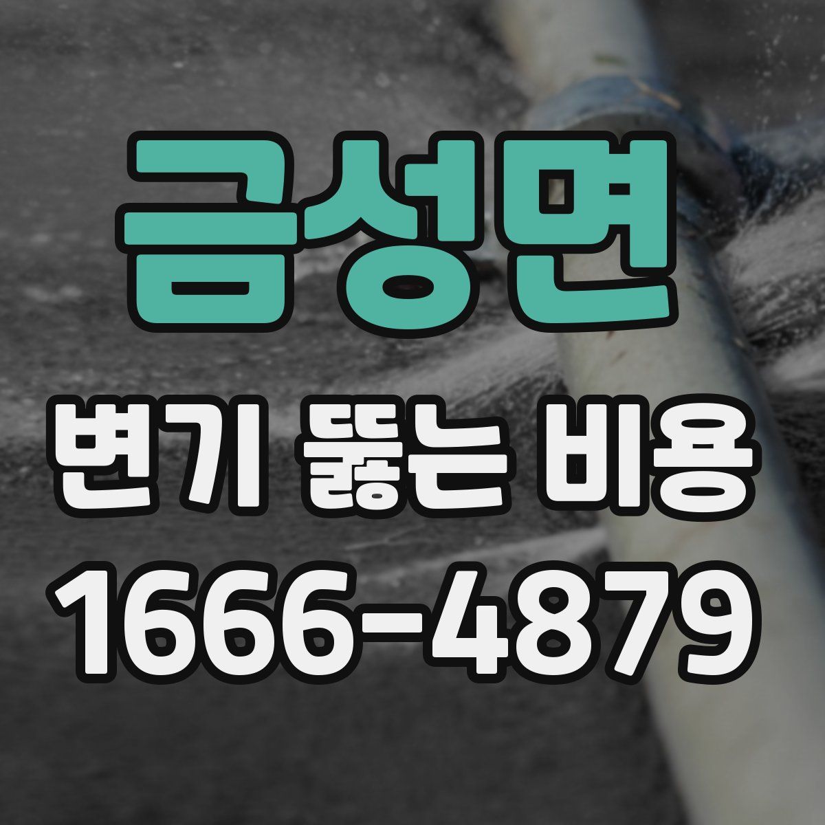 금성면 변기 뚫는 비용