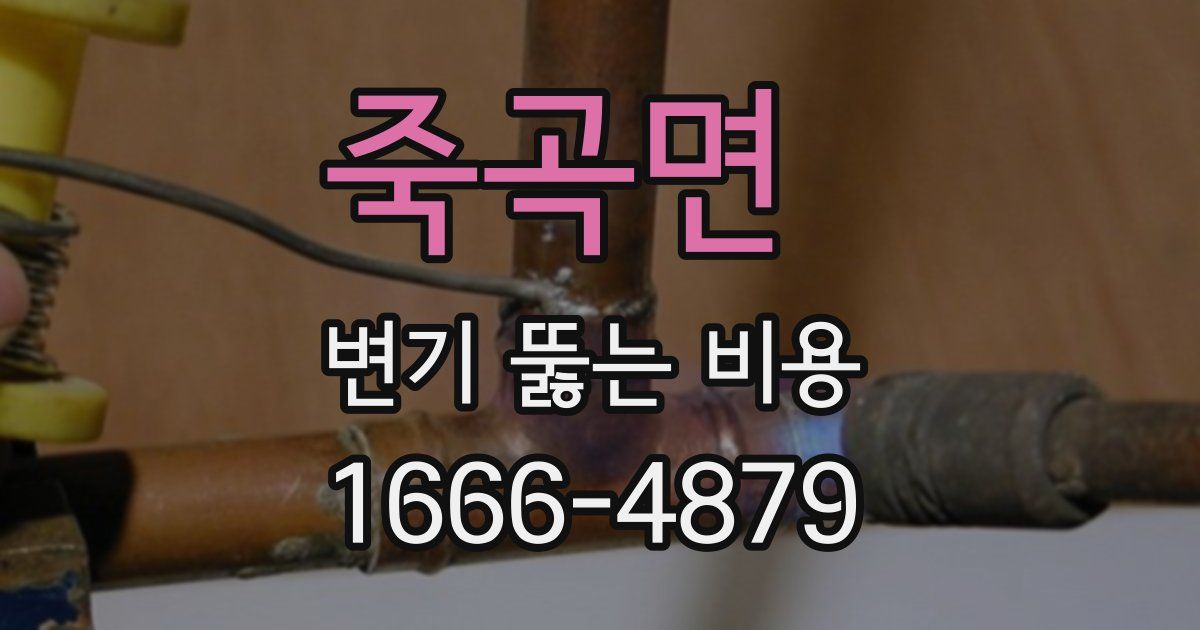 죽곡면 변기 뚫는 비용