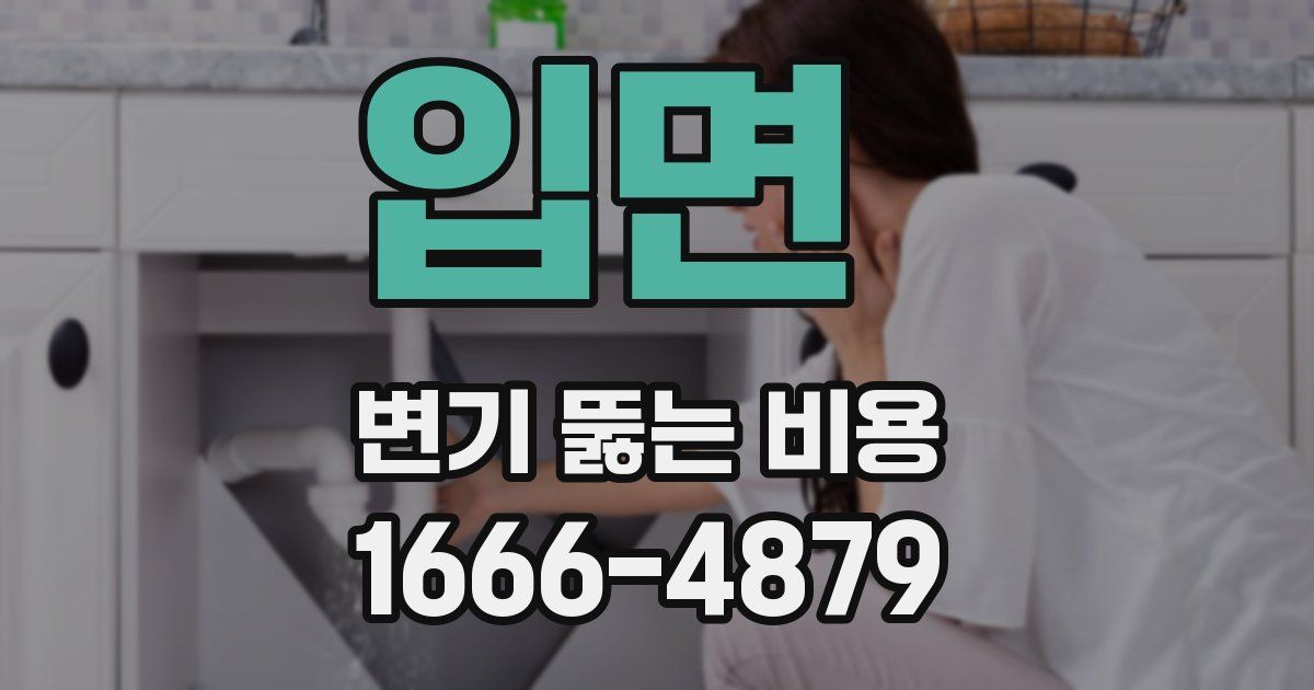 입면 변기 뚫는 비용