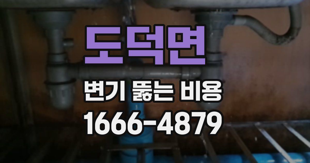 도덕면 변기 뚫는 비용