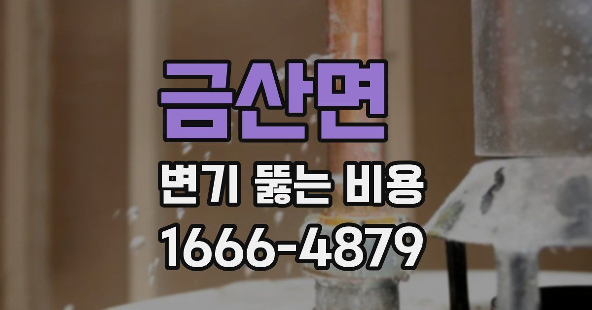 금산면 변기 뚫는 비용