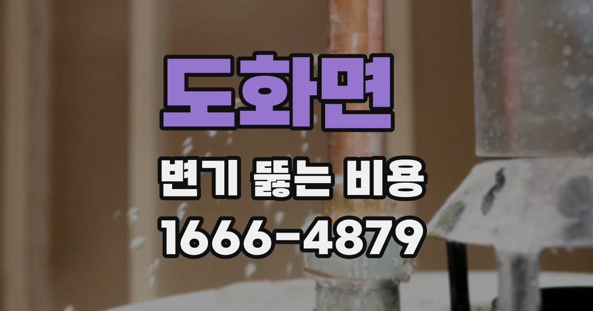 도화면 변기 뚫는 비용