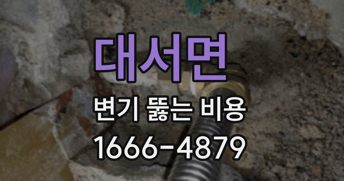 대서면 변기 뚫는 비용