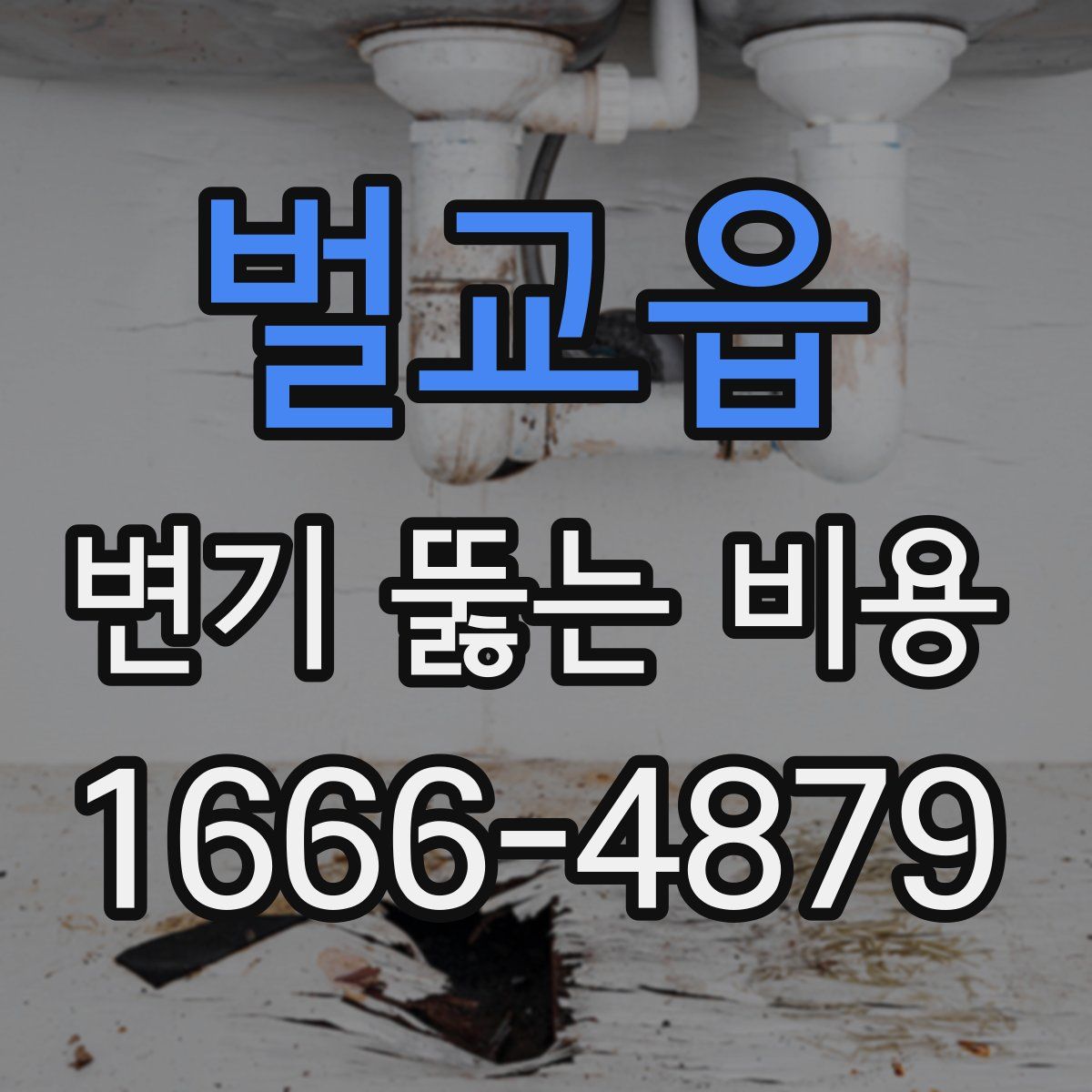 벌교읍 변기 뚫는 비용
