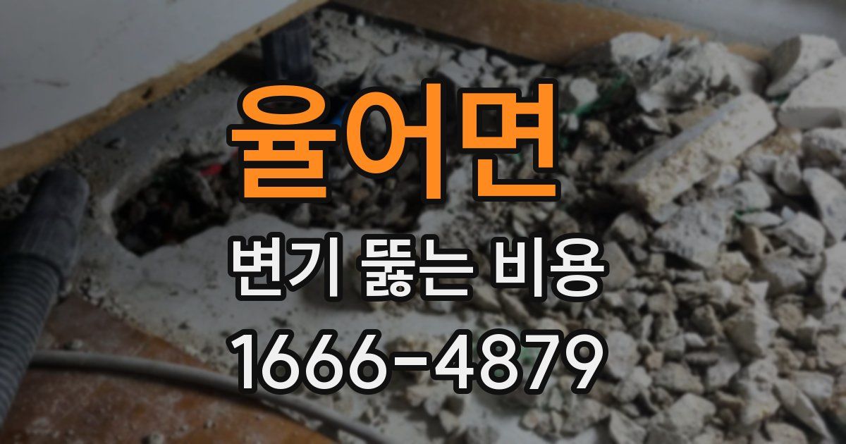 율어면 변기 뚫는 비용